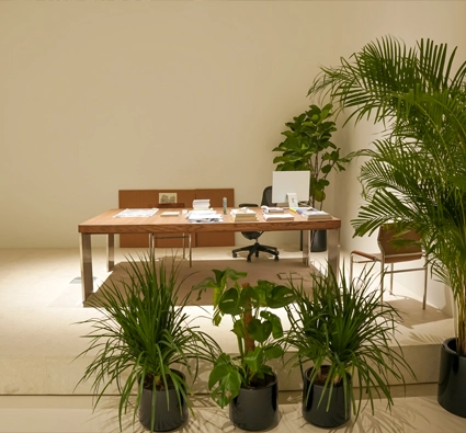 office wooden furniture